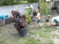 /album/parkositas-cserne-biacsi-boglarka-szervezeseben-es-cser-gabor-iranyitasaval/parkositas3-2015-05-13-081-jpg/